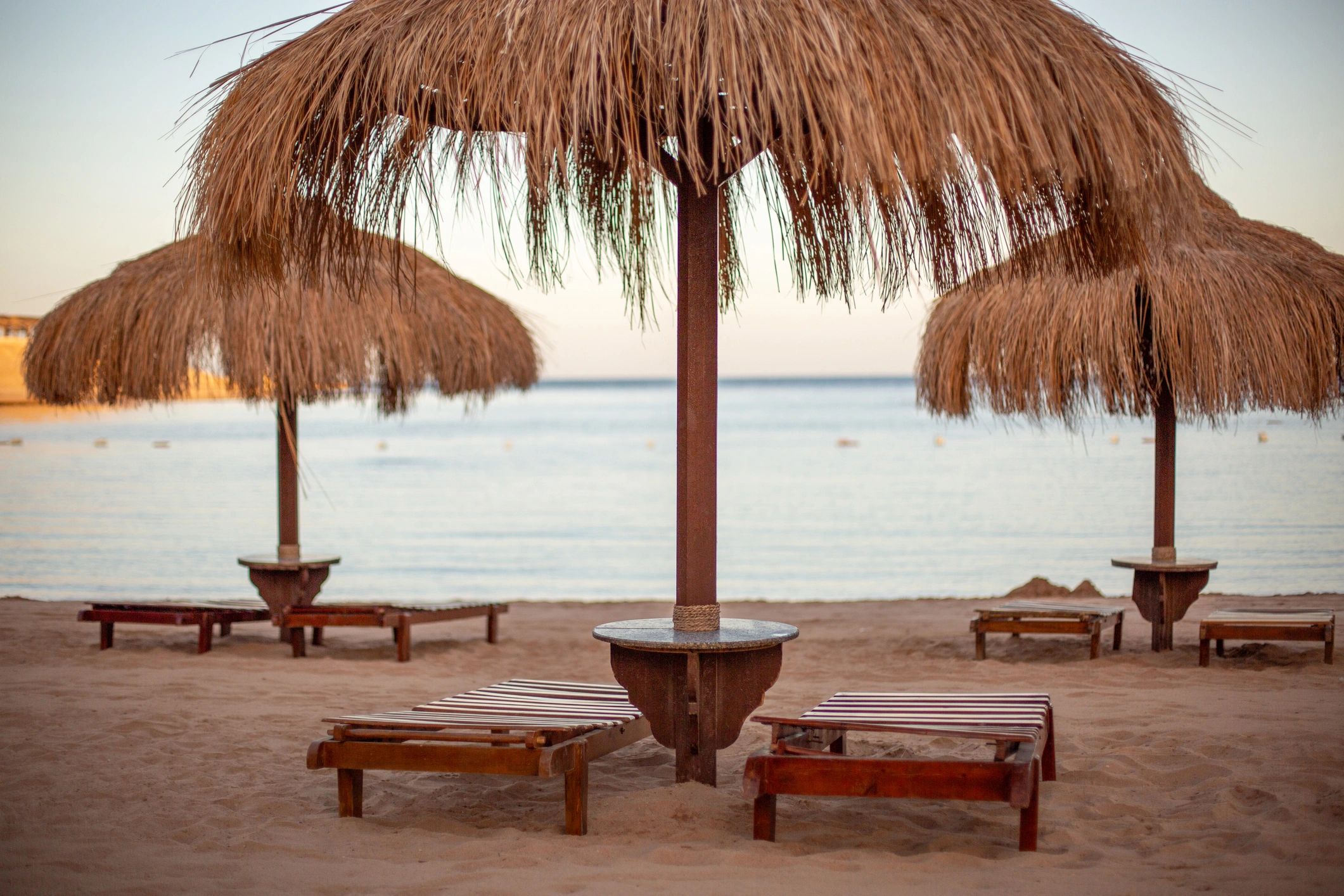 Beach umbrellas and lounge chairs on sandy shore